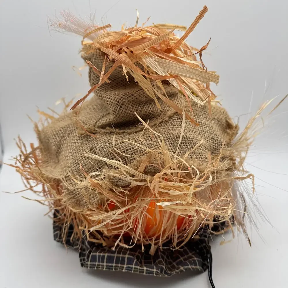 Pumpkin Hollow Fiber Optic Scarecrow Halloween Decor 11